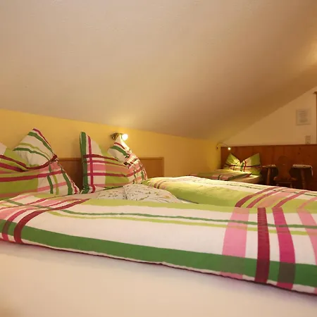 Haufhof-Pension Am Bauernhof, Haus Im Ennstal Bei Schladming Buitenkant foto
