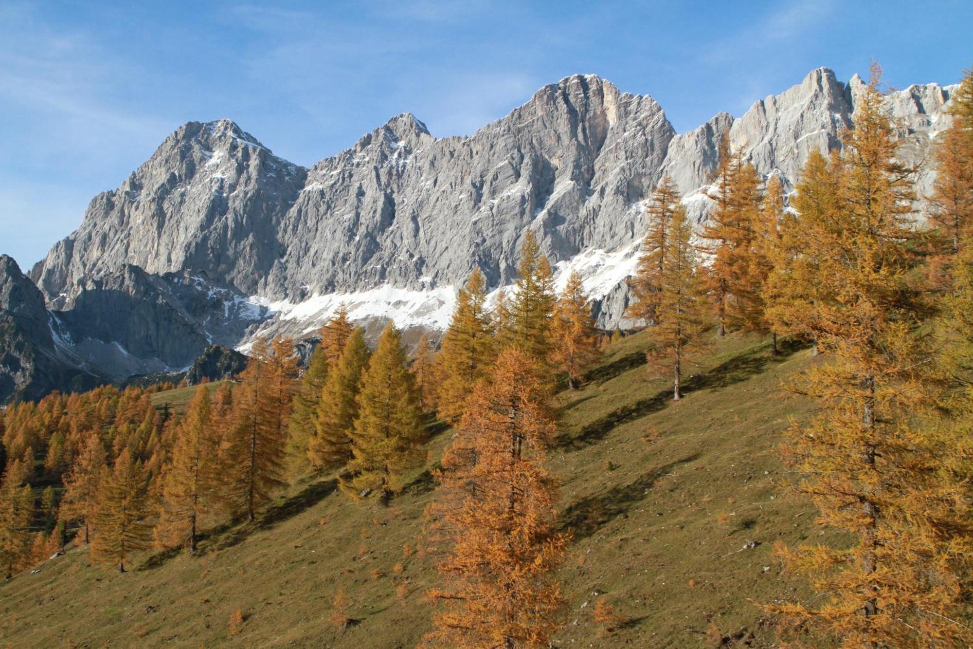 Séjour à la ferme Haufhof-pension Am Bauernhof, Bei Schladming